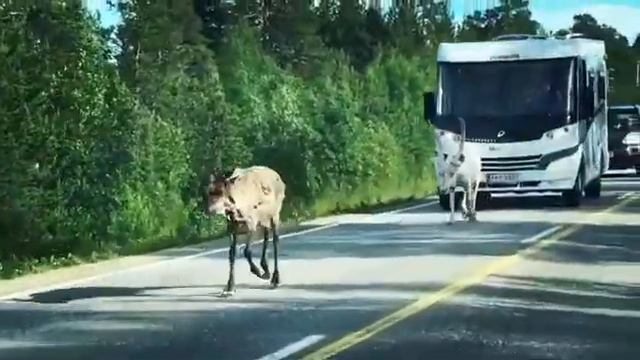 И весь мир подождёт. смотреть онлайн