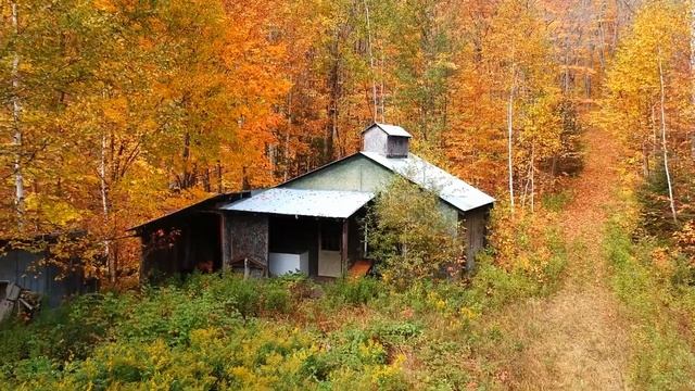Exciting News! We Bought Land | New Project - Off-Grid Tiny Log Cabin Made With Hand Tools! смотреть онлайн