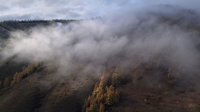 ДУХ АЛТАЯ смотреть онлайн