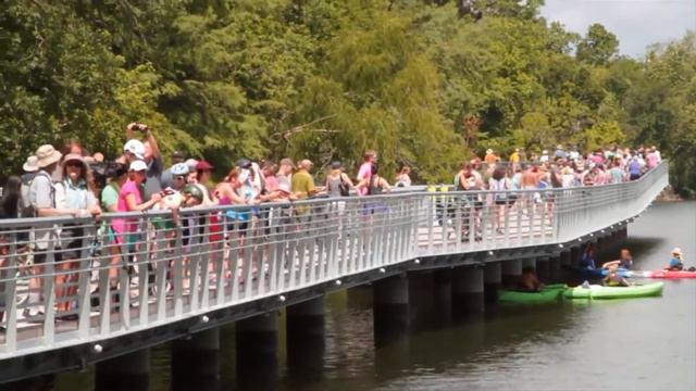TOP 10 PLACES IN AUSTIN | Scott and Yanling смотреть онлайн