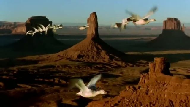 ДиДюЛя - "Вольный ветер" смотреть онлайн