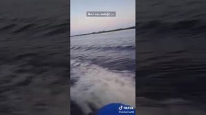 Лодка "Азимут" Тайфун 365 с мотором Тохатсу 9.8, 2