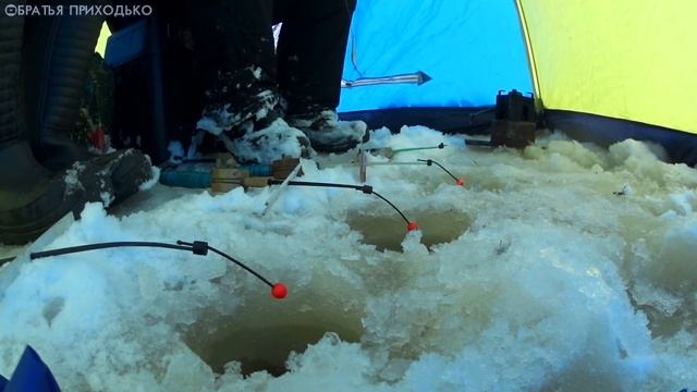 НАЛИМ НА КАРАСЯ ПО ПЕРВОМУ ЛЬДУ / РЫБАЛКА В НОЯБРЕ смотреть онлайн