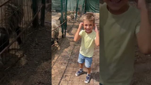 Дамир и Амелия посетили Сафари-парк в Краснодаре смотреть онлайн