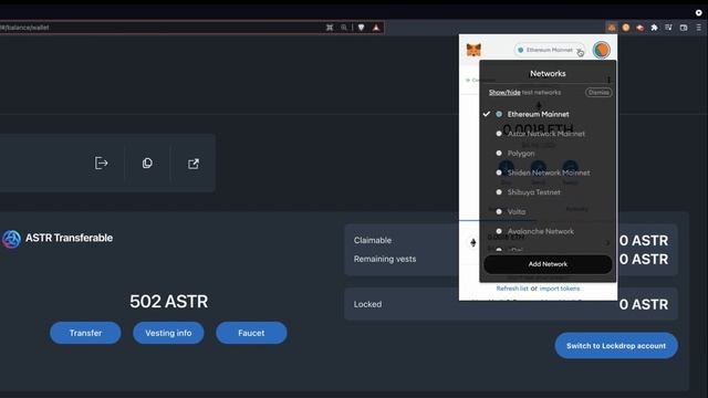 Transfer $ASTR From Polkadot.js To MetaMask