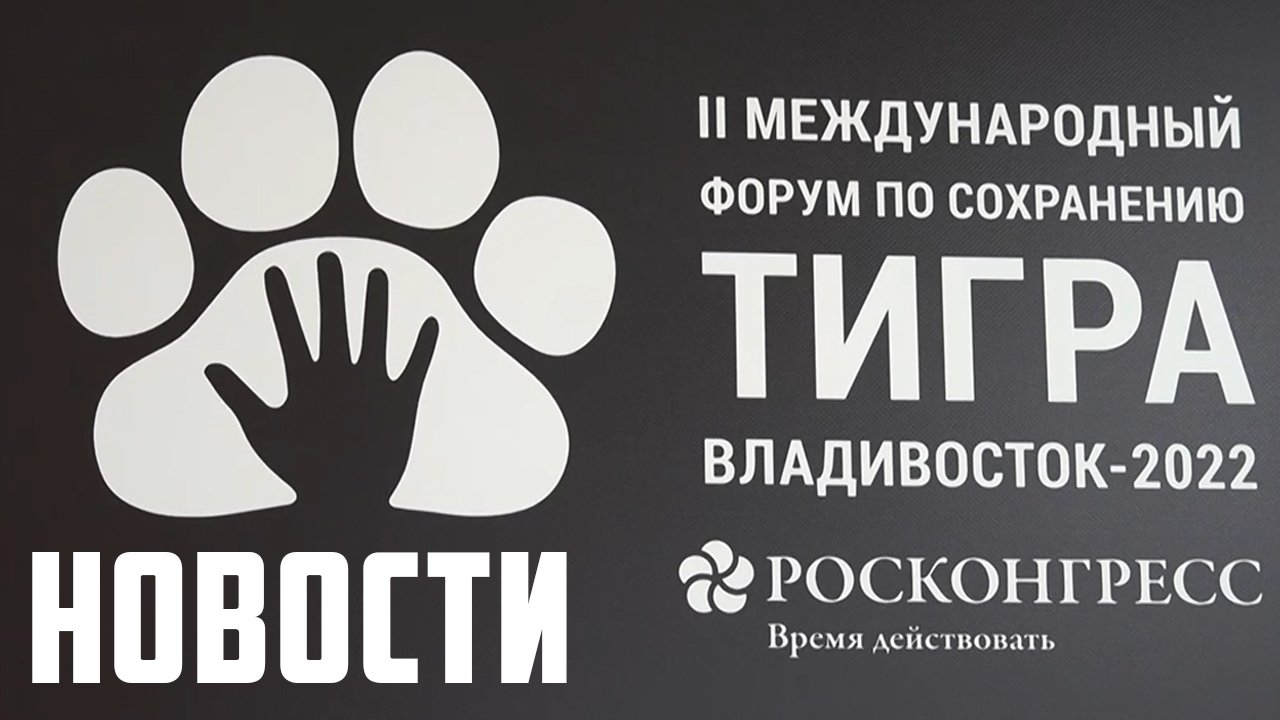 "Дальневосточные города": новая стратегия развития смотреть онлайн