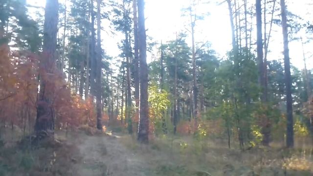 гора Моховая 22 сентября. Осторожно, блог! смотреть онлайн