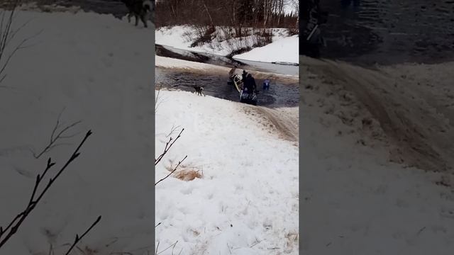 Снегоход Буран, оленеводы, весна. смотреть онлайн