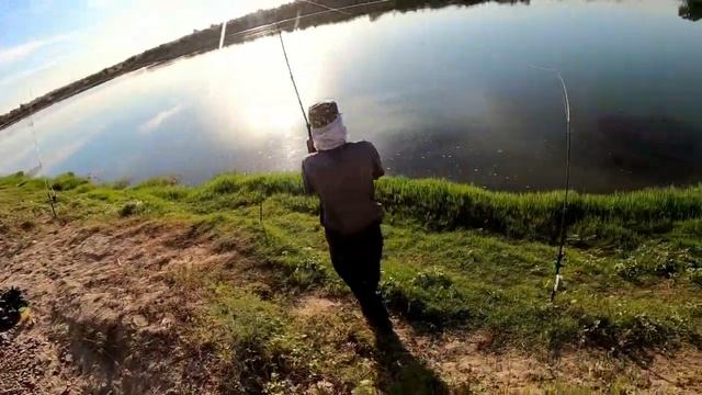БЕШЕНЫЙ КЛЁВ САЗАНА РЫБАЛКА С НОЧЁВКОЙ #Балик ови #рыбалка #карпфишинг #Рыбалка в узбекистане смотреть онлайн