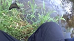 ЛОВЛЯ ГОЛАВЛЯ НА ПОПЛАВОК