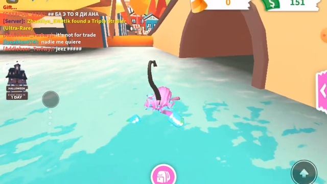 СУПЕР Кот  бесплатный пет адомп ми