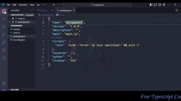 how to make pakages json file in vs code
