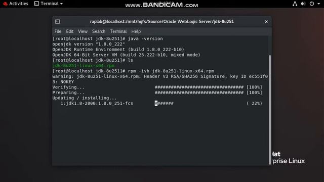 Install Oracle JDK 1.8 rpm installation on RedHat Enterprise Linux 8 смотреть онлайн