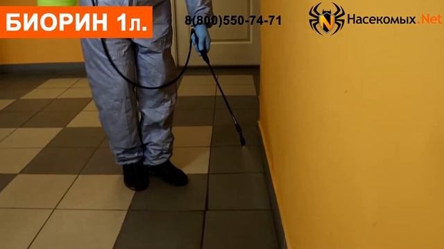 Вывести блох, клопов, тараканов, муравьев средством Биорин смотреть онлайн
