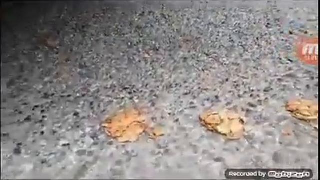 Не говори слово ой смотреть онлайн