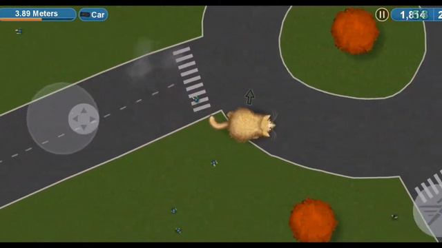 КОТ СЪЕЛ ВЕСЬ МИР | TASTY PLANE FOREVER смотреть онлайн