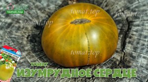 Томат Изумрудное сердце. Отзывы, описание, характеристики сорта Изумрудное сердце от Сибирского сад