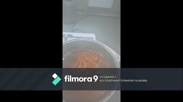 Готовим вкусно