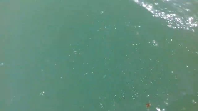 Ташкент2018,парк Волгоградский(Мирзо-Улугбек) смотреть онлайн