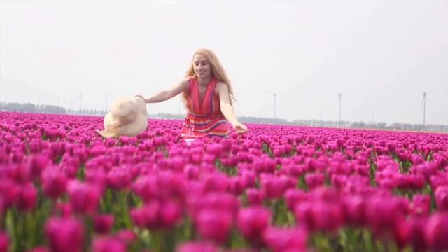 Keukenhof Gardens In Virtual Tour In 4K BlueMoon Universe