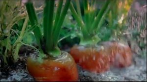 Реклама Gerber (2012) Реклама Для Нейросети