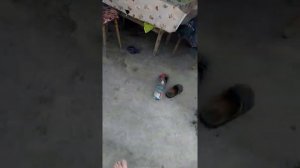 Продолжение замена сальников клапанов без снятия головки на приоре 16 кл