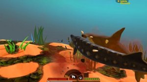 ОГРОМНЫЙ ОСЕТР НАПАДАЕТ НА МЕГАЛОДОНА! ВЫЖИВАНИЕ ОСЁТРА! | Feed and Grow Fish