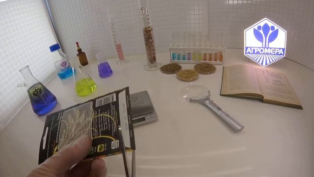 Томат Янтарная Гроздь F1. Ваше хозяйство смотреть онлайн