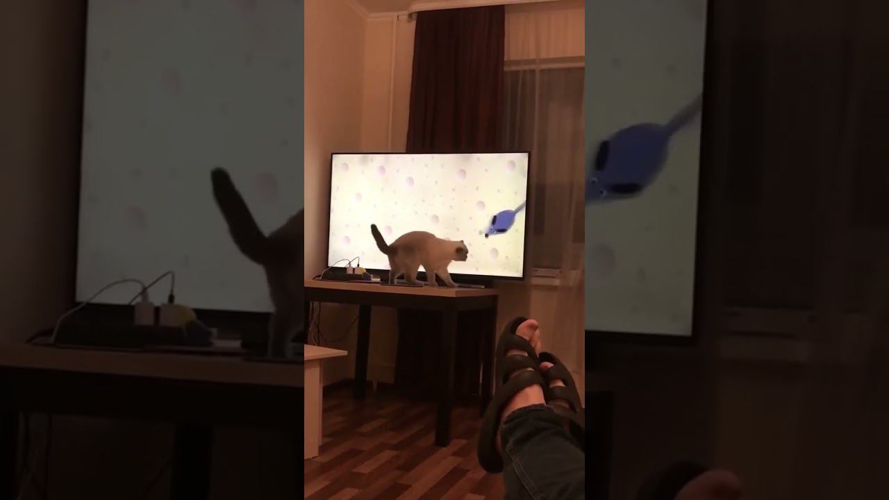 #томиджерри #котики смотреть онлайн