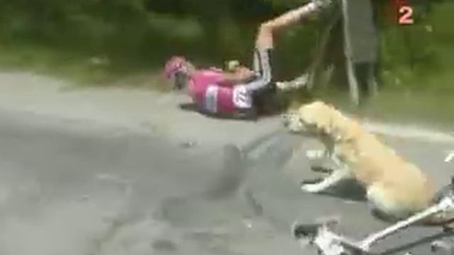 Tour de France 2007 Burghardt hits a dog смотреть онлайн
