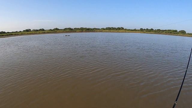 Рыба Верная