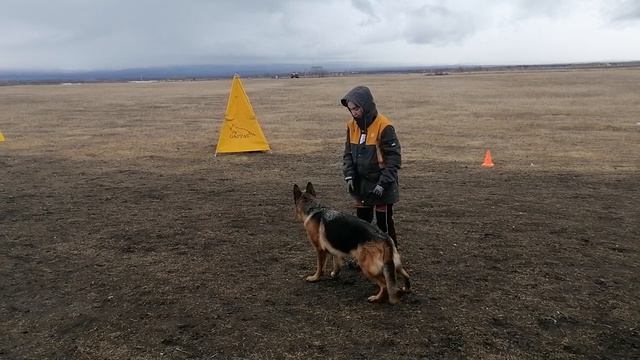 6.  выражено/перв OSTEN STERN DZHORDZHIYA  - выстрел