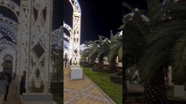 Пальмы в Сочи на Новый год! смотреть онлайн