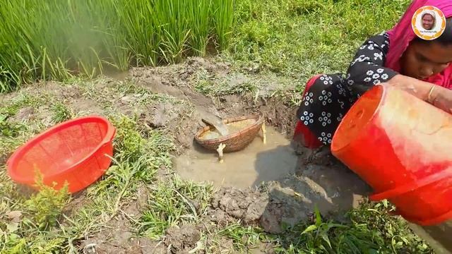 Gor Tana Fishing - Traditional Fishing in Water Flow - Catch Fish From Paddy Farm смотреть онлайн