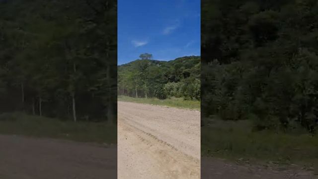Дорога Бамут- Ялхарой. Часть 1. смотреть онлайн