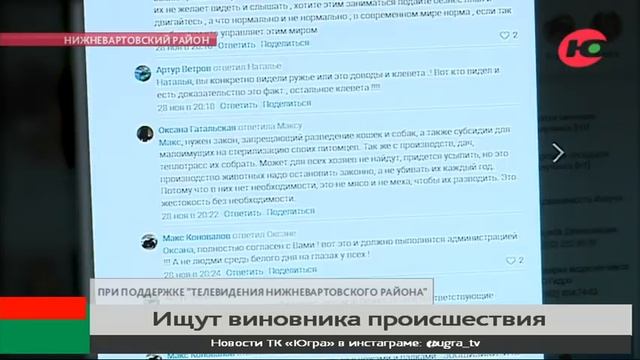 В Излучинске ищут застрелившего собаку