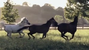 Красный конь (муз. М Фрадкин сл  М  Пляцковский) Никита Добрый