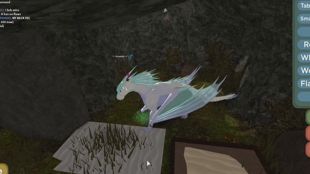 Wings of Fire Roblox UPDATE! - Copper's Armor Quest Tutorial + New Furniture, Accessory and More! смотреть онлайн