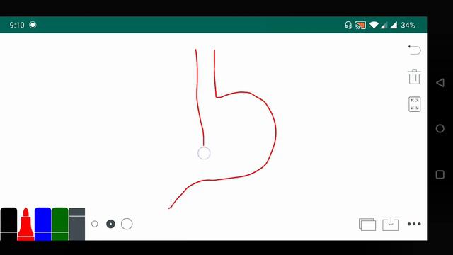 Movement of Gastrointestinal tract Physiology - 3 смотреть онлайн