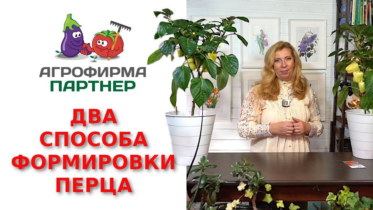Два способа формировки перца смотреть онлайн