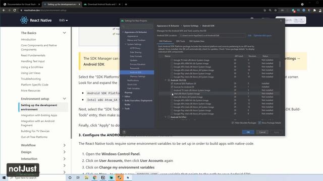 React Native Environment FULL Setup (Windows) смотреть онлайн