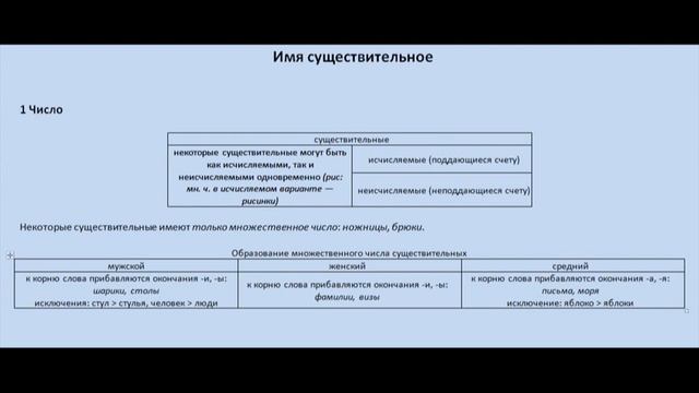 Русский язык. Грамматика. 01 Имя существительное смотреть онлайн
