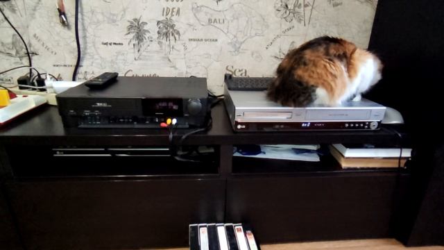 Подготовка к просмотру Перемотка VHS видеокассет на начало смотреть онлайн