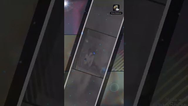 Далёни поён темур Photoslideshow-151219-084438 смотреть онлайн