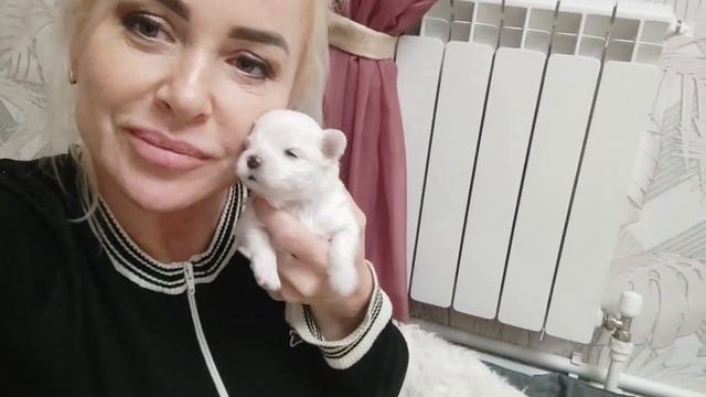 В ДЕТСТВЕ СЧАСТЬЯ НЕ😥 БЫЛО, А СЕЙЧАС Я ВСЯ В НЕМ, ПОГРУЗИТЕСЬ В МОЮ АТМОСФЕРУ смотреть онлайн