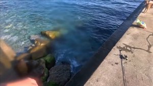 ▶️ Погода супер Неудачная рыбалка Набережная Море Ялта Крым 08.11.2023