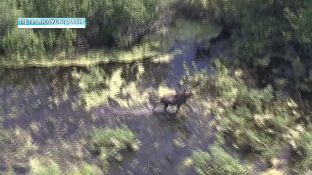 Озеро Червоное смотреть онлайн