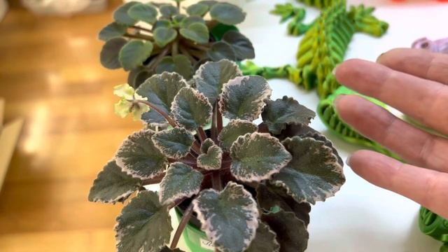 Красота от Ирины❤️ смотреть онлайн