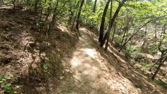 ЗАДУШИЛ ЗМЕЮ? смотреть онлайн