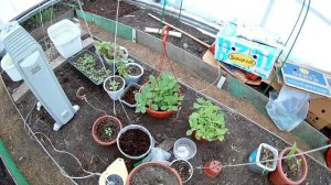 Обзор теплицы в марте. Посадка в марте .Что можно сажать в марте